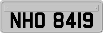 NHO8419