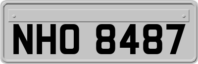 NHO8487