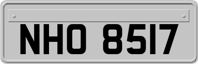 NHO8517