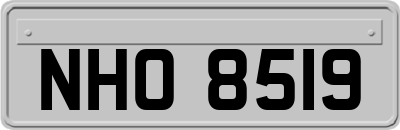 NHO8519