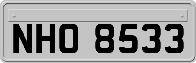 NHO8533
