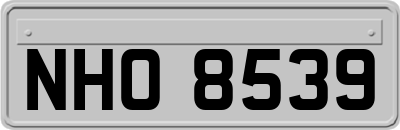 NHO8539