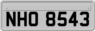 NHO8543