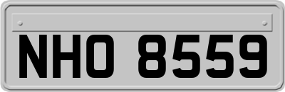 NHO8559