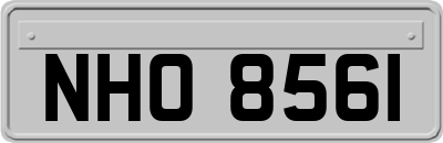NHO8561
