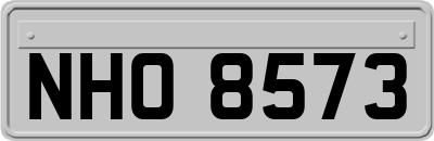 NHO8573