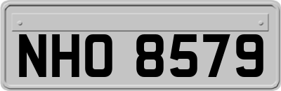 NHO8579