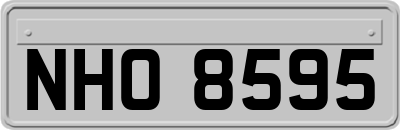 NHO8595