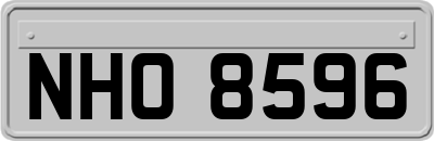 NHO8596