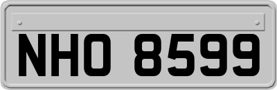 NHO8599