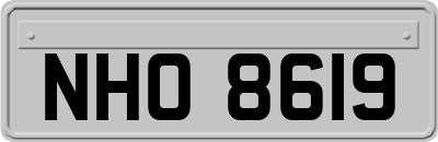 NHO8619