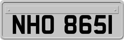 NHO8651