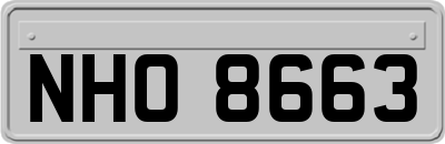 NHO8663