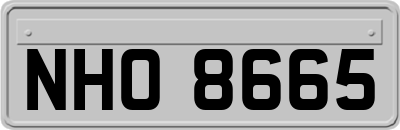 NHO8665