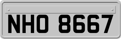 NHO8667