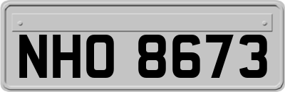 NHO8673