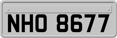 NHO8677