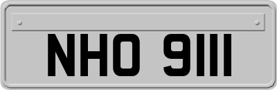 NHO9111