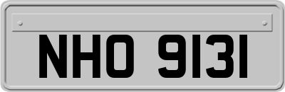 NHO9131