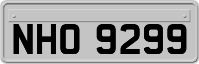 NHO9299