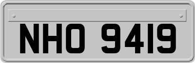 NHO9419