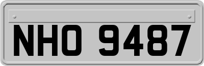 NHO9487