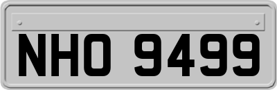 NHO9499