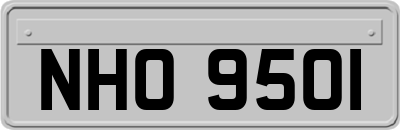 NHO9501