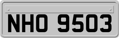 NHO9503