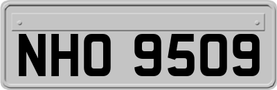 NHO9509