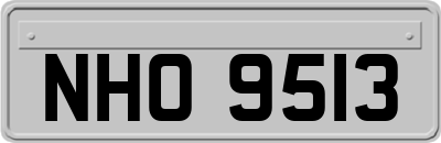 NHO9513