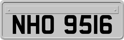 NHO9516