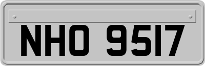 NHO9517
