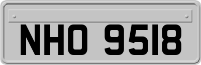 NHO9518