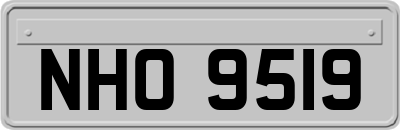 NHO9519