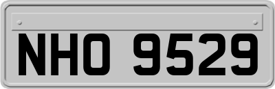 NHO9529