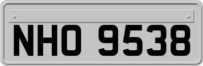 NHO9538