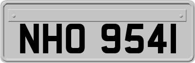 NHO9541