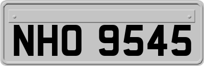 NHO9545
