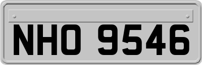 NHO9546