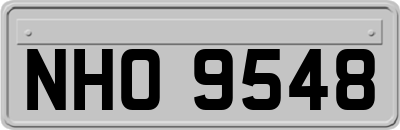NHO9548