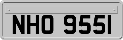NHO9551