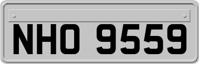 NHO9559