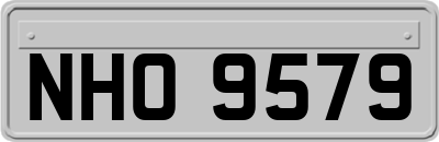 NHO9579
