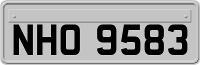 NHO9583