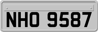 NHO9587