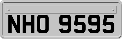 NHO9595
