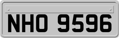 NHO9596