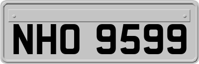 NHO9599