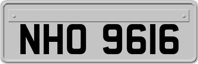 NHO9616